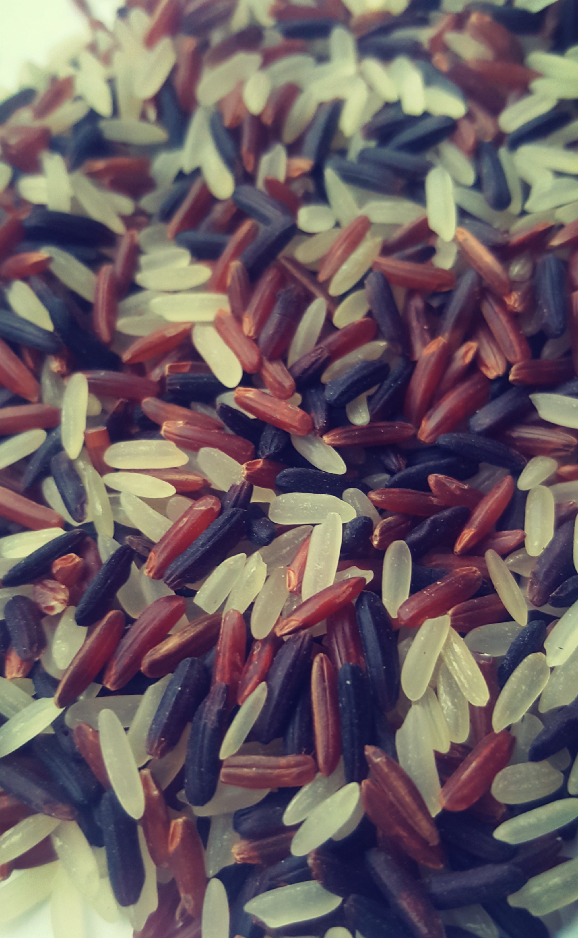 parboiled-red-black-rice-mix